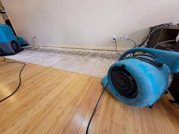 Professional Water Removal technician working in Rockville, IN